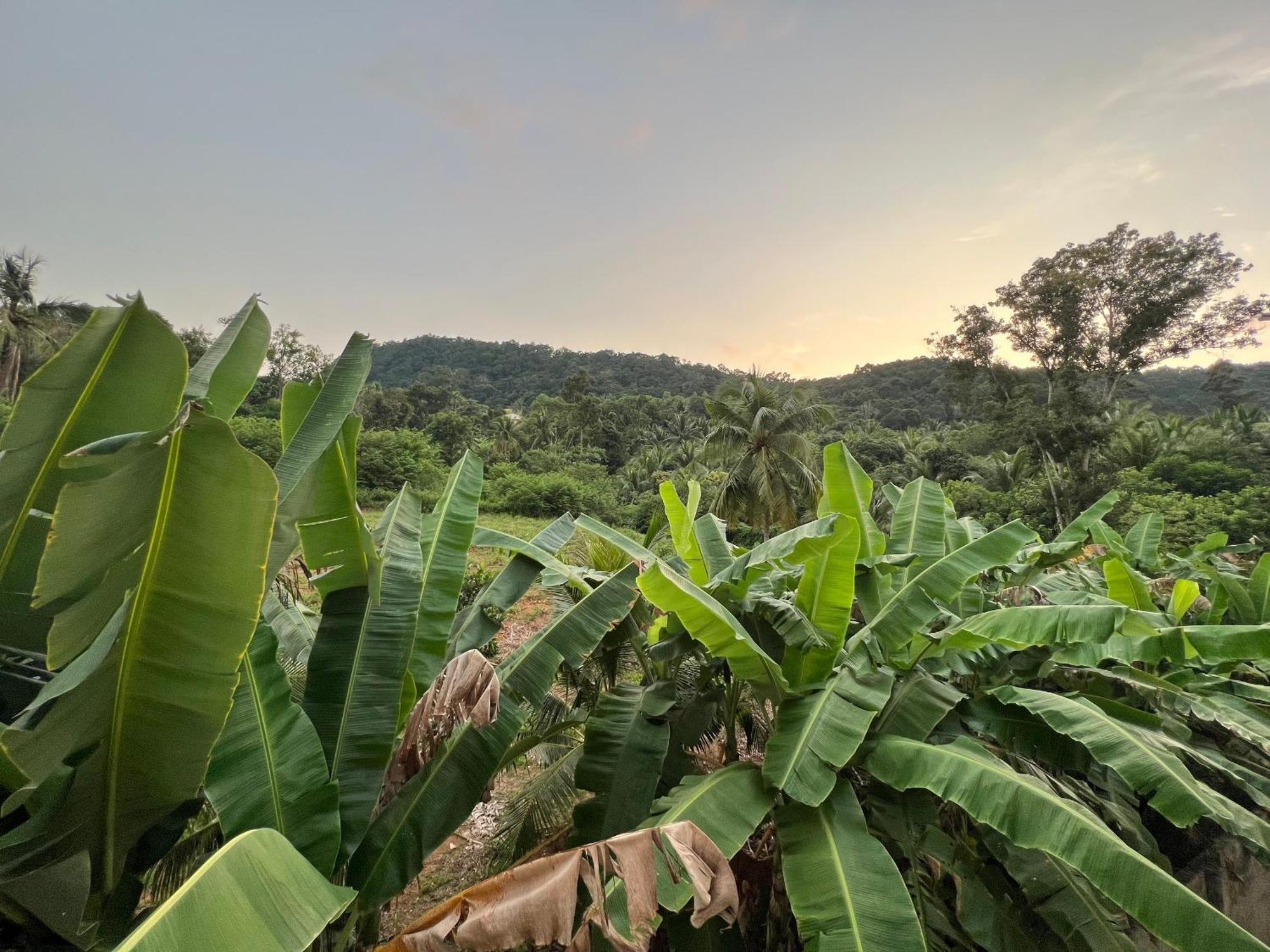 Bungalow Sang Tuoi Mountains Phú Quốc-sziget Kültér fotó